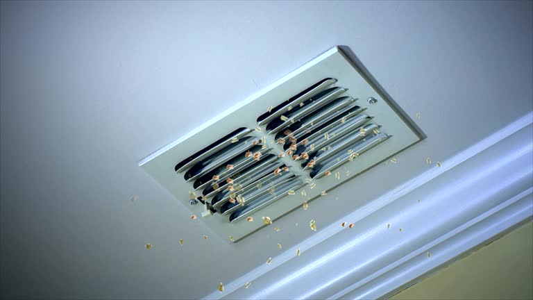 Best Air Duct Cleaning Company Near Me  in Walford, IA