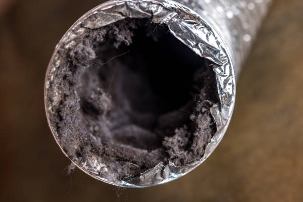 Best Professional Duct Cleaning Services  in Walford, IA