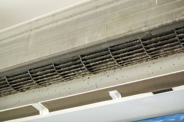 Best HVAC Air Duct Cleaning  in Walford, IA