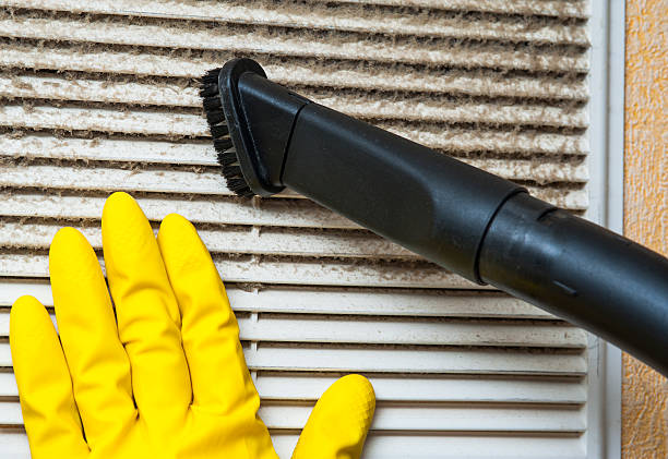 Best Dryer Vent Cleaning Services  in Walford, IA